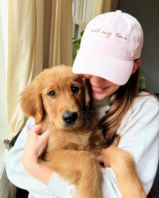 Port Authority® Brushed Twill Low Profile Cap