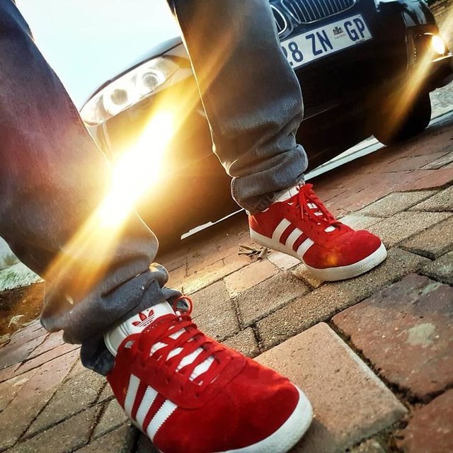 gazelle og rouge