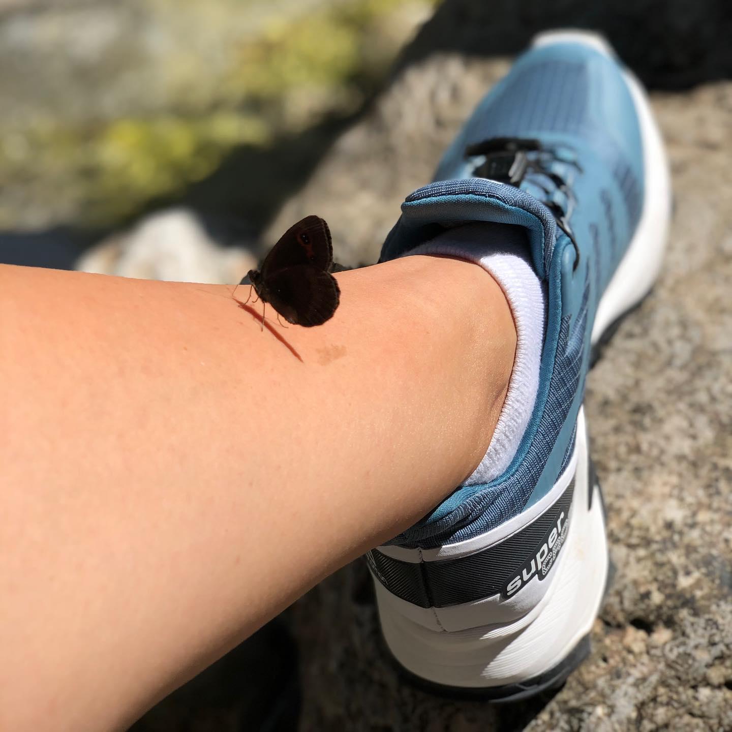 salomon supercross w