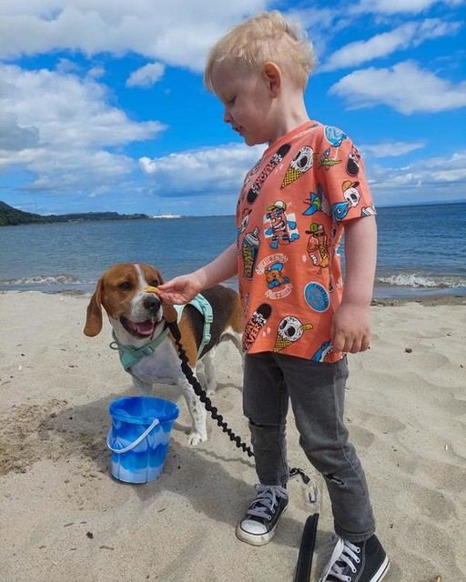 city beach fila disruptor